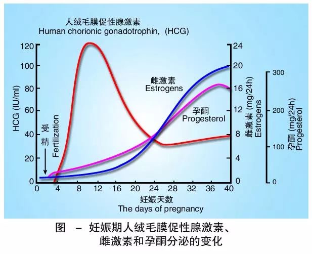 懷孕期間HCG低怎么辦？